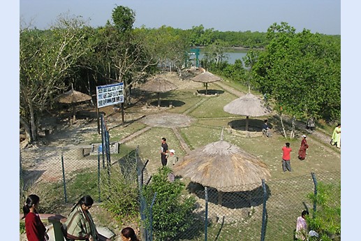 Viaggio in India 2008 - Sunderbans